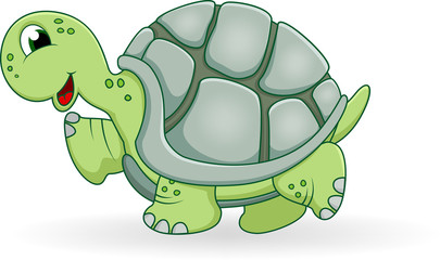 turtle cartoon