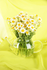 Many chamomile in glass teapot on green cloth background