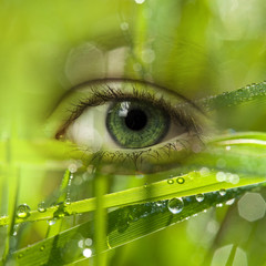 green energy