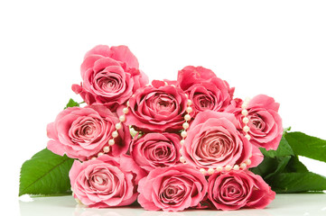Pink roses isolated on white background