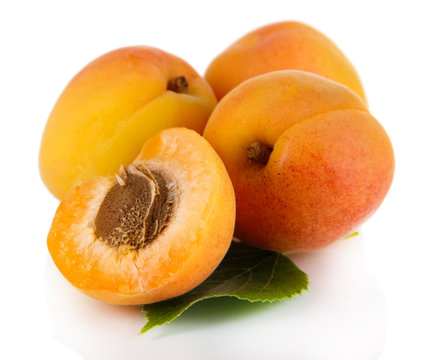 Apricots isolated on white