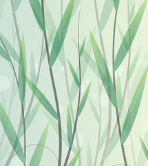 Fototapeta premium Lush thickets