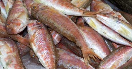 red mullet