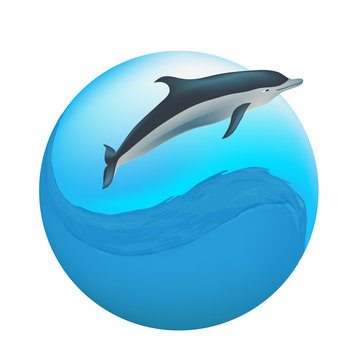 round icon with a water wave and dolphin, vector illustration