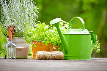 Gardening tools  on the terrace in the garden