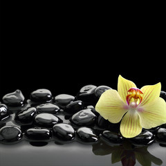 Black Zen stones and orchid on calm water background