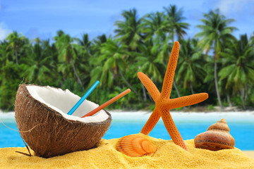 Obraz na płótnie Canvas kokosowy, rozgwiazdy i muszle w tropikalny krajobraz