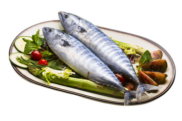 Fresh Atlanticmackerel