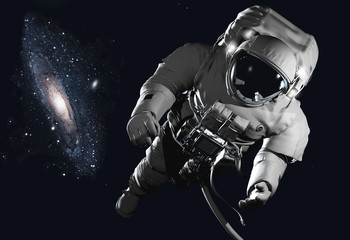Obraz premium The astronaut