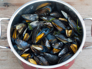 gekochte Miesmuscheln