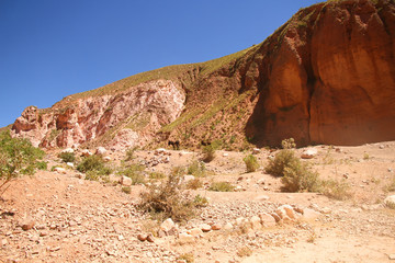 Rote Felsen