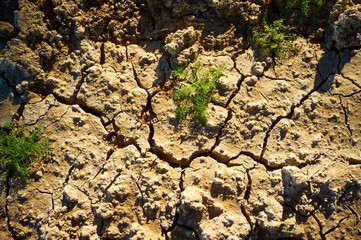 Crackled soil with natural texture