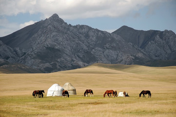 Shepherds Yurt tent  with horses, Kyrgyzstan mountain scenery - obrazy, fototapety, plakaty
