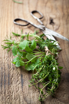fresh herbs on wooden table