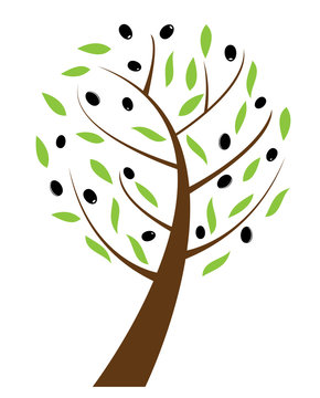 vector olive tree