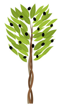vector olive tree