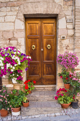 Fototapeta na wymiar Porta di legno con fiori