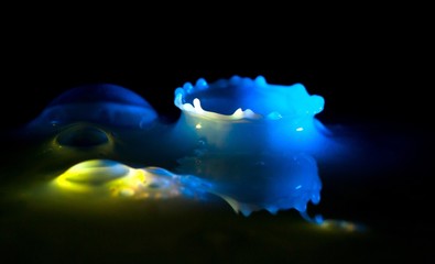 Milk splash, flying drops and bubbles