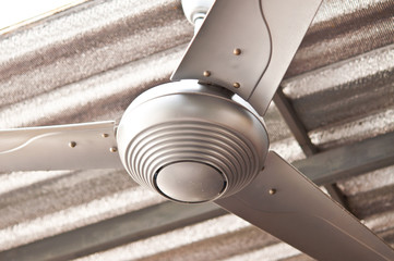 Ceiling fans.