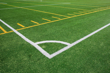 Fototapeta premium Football and soccer field