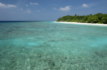 Maldivian Island