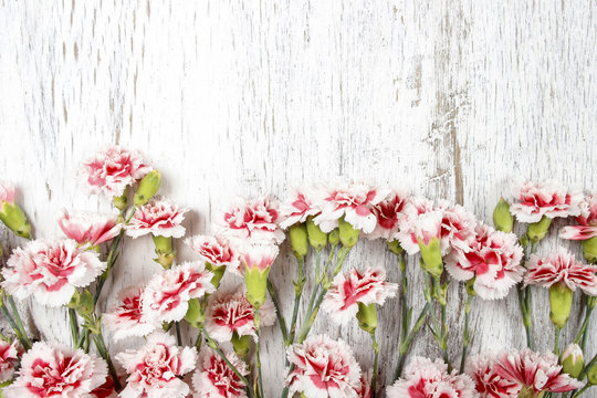 Pink carnations isolated on wooden background