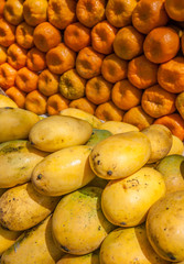 Yellow mangos and tangerines at fruit market