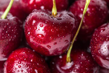 Close-up of fresh cherry berries with water drops.