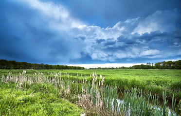 Fototapeta na wymiar stormy cloudscape over green meadow