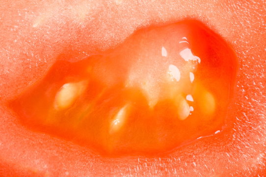 tomate makro