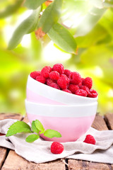 Himbeeren im Schälchen im Garten