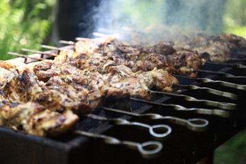 Shish kebab on the grill with smoke.