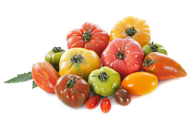 varieties of tomatoes