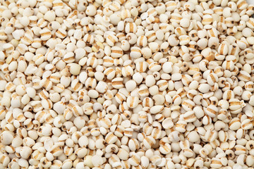 Heap of coixseed