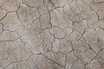 Dried crack land