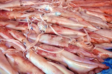 Calamars sur le Marché de Dungun en Malaisie