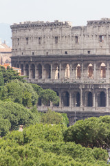 Obraz premium Colosseum of Rome, Italy
