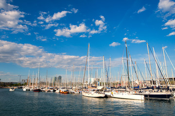 Fototapeta premium yachts in the port