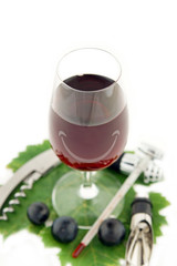 verre de vin rouge à déguster