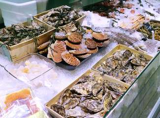 showcase of seafood