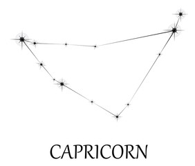 Capricorn Zodiac sign