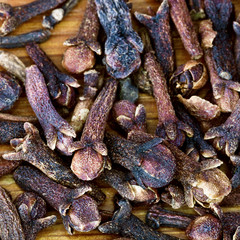 macro view of dried cloves