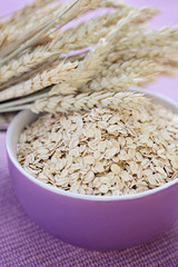 bowl of oats