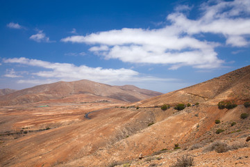 Central Fuerteventura, valley of Betancuria
