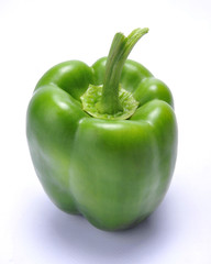 Big Green Bell Pepper