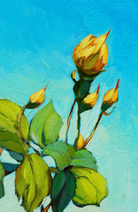 yellow rose, painting by oil on canvas, illustration
