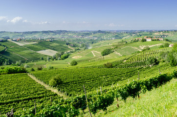 Fototapeta na wymiar Langhe, górzysty region winiarski w Piemoncie, Włochy