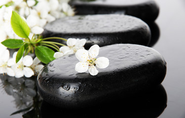 Fototapeta na wymiar Spa stones and white flowers on dark background