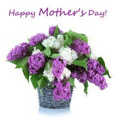 Beautiful lilac flowers in  wicker vase, isolated on white