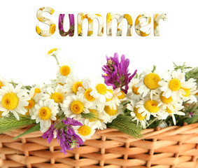 Beautiful wild flowers in basket